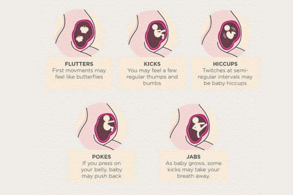 Baby Movements During Pregnancy: What Is Normal?